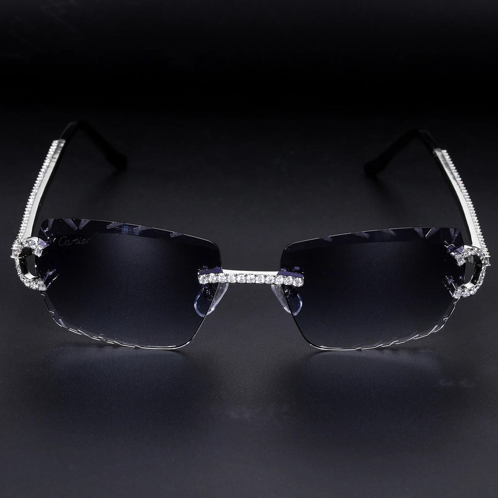 Icy Vision Sunglasses